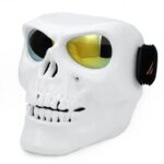 Skull Face Mask